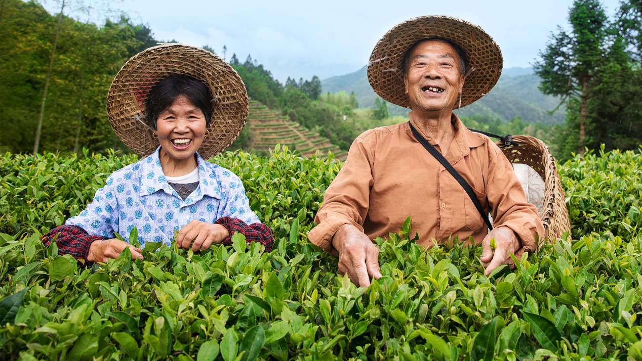 “振興中國好茶公益助農行動”正式發起，小罐茶以茶助農打贏脫貧攻堅戰