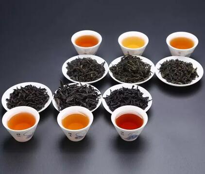 茶葉未來發展，名茶PK民茶